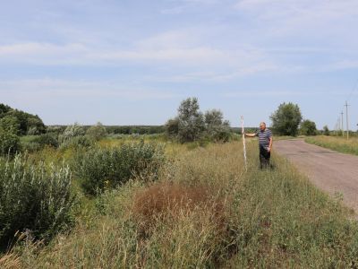 Поселение 1 у хут. Шинкин Острогожского района