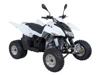 Квадроцикл SYM QuadRaider 300 SS