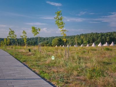 Концертная площадка «Дикая мята»