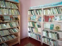 Большекемарская сельская библиотека