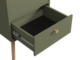 Распашной шкаф Торвалль 1.1-50x185 Оливковый