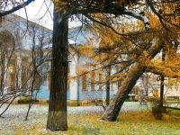 Музей русского искусства