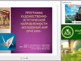 Вебинар "Программа художественно-эстетической направленности «Волшебный мир оригами»"