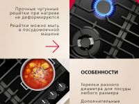 Газовая панель Hansa BHGS611839