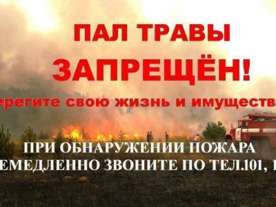 Пожар в лесу лучше предотвратить