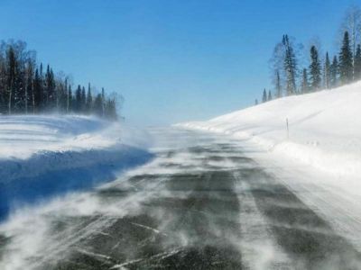 Завтра ветер и поземка