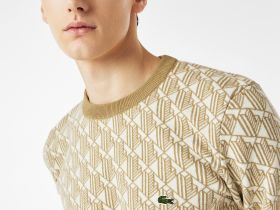 Мужской свитер Lacoste свободного кроя