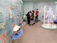 Музейно-выставочный центр ЗАТО г. Железногорск