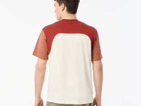 Мужская футболка Lacoste из хлопка
