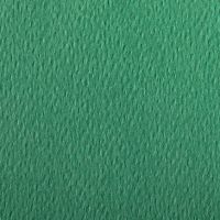 Бумага для пастели Clairefontaine "Etival color" 50x65 см, 160 г темно-зеленый