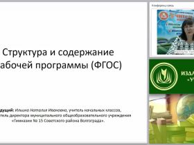Структура и содержание рабочей программы (ФГОС)