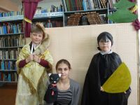 Толстомысенская поселенческая библиотека