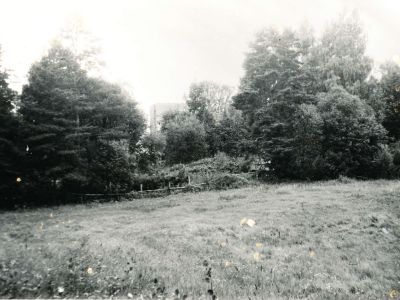 Усадьба Сиренко. Парк