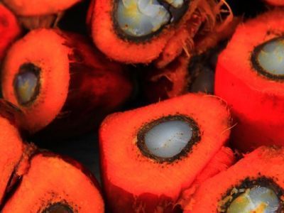 Количество пальмового масла в продуктах хотят ограничить