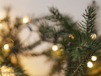 Новогодний выпуск Анатомии Качества!