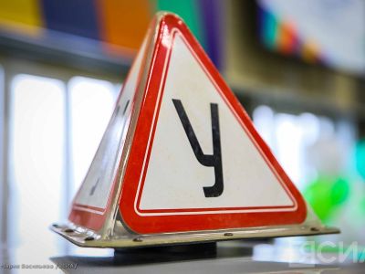 В автошколах могут ввести программы праворульного вождения