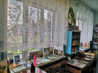 Каштановская библиотека