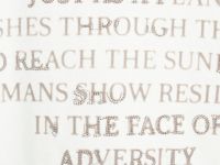 Футболка с принтом и вышивкой, Белый