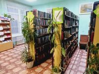 Шилкинская межпоселенческая центральная районная библиотека