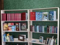 Нечаевская сельская библиотека