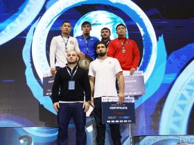 Одиннадцать медалей турнира Коркина завоевали борцы из Якутии