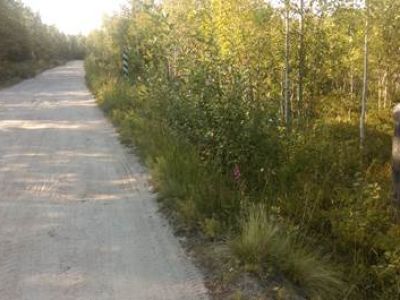 Верстовой столб за озером Большое Карзино