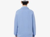 Мужская толстовка Lacoste с воротником-поло из хлопка