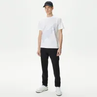 Мужские брюки Lacoste стандартного кроя