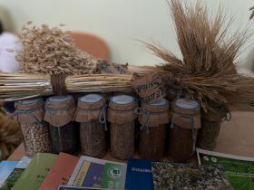 В Якутске стартовал всероссийский фестиваль «Наука 0+»