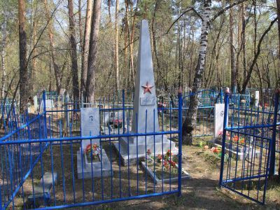 Обелиск на могиле Р.И.Развина