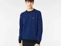 Мужской свитер Lacoste свободного кроя