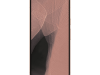 Google Pixel 11 Pro XL 12/256Gb (Canyon)
