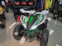 Квадроцикл MOTOLAND 125 COYOTE PRO (2023) Б/У