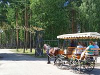 Ярославский зоопарк