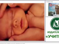 ФГОС ДО: организация развивающей среды по поддержке интереса детей к окружающему миру и природе