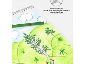 Набор карандашей цветных Гамма "Классические" 6 цв., заточен., картон. упаковка, европодвес