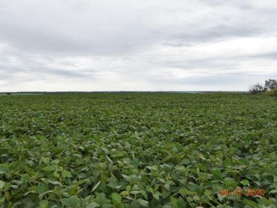 Место, где в 1943 году находился наблюдательный пункт командующего пятого гвардейской общевойсковой армии, генерал-лейтенанта  А.С.Жадова