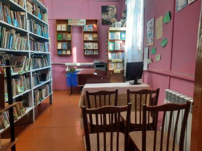 Каменская сельская библиотека