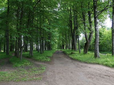 Усадебный парк