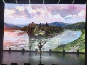 Танцующие полотна: в Якутске показали уникальный перформанс по картинам Миры Аргуновой