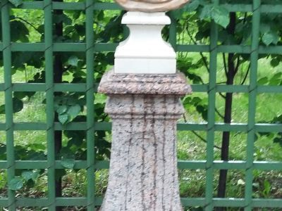 Бюст женщины в розовой драпировке