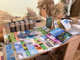 В Якутске стартовал всероссийский фестиваль «Наука 0+»