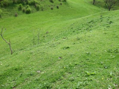 Поляна, место привалов и сборов Верхнеташского союза общин для решения общих вопросов