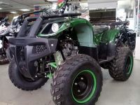 Квадроцикл ATV Avenger Evo