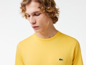 Мужская футболка Lacoste стандартного кроя