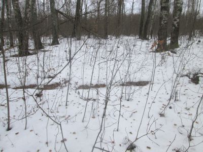 Памятное место, где в 1942-1943 гг. формировались и действовали партизанские отряды «За Родину» и им. Котовского