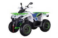 Квадроцикл ROCKOT Hammer 200 Premium