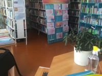 Усть-Хойзинская сельская библиотека