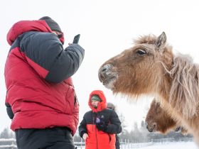 Автотур "Колыма". Маршрут: Якутск - Оймякон - Магадан