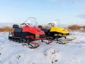 Снегоход БТС Arctic 4Т New Люкс 20 л.с. э/зап , реверс, тормоз, улучшенная подвеска